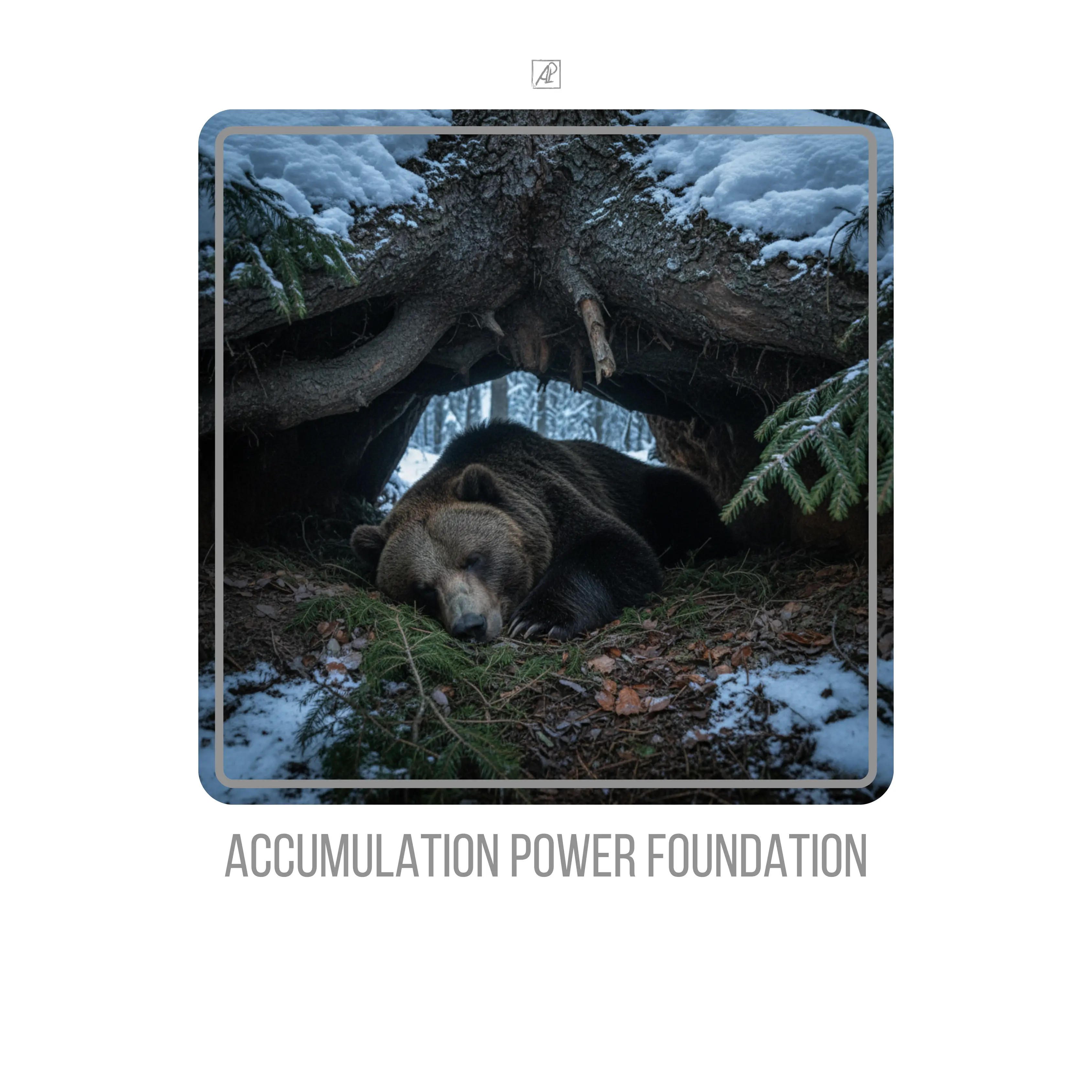 Accumulation Power. Foundation
