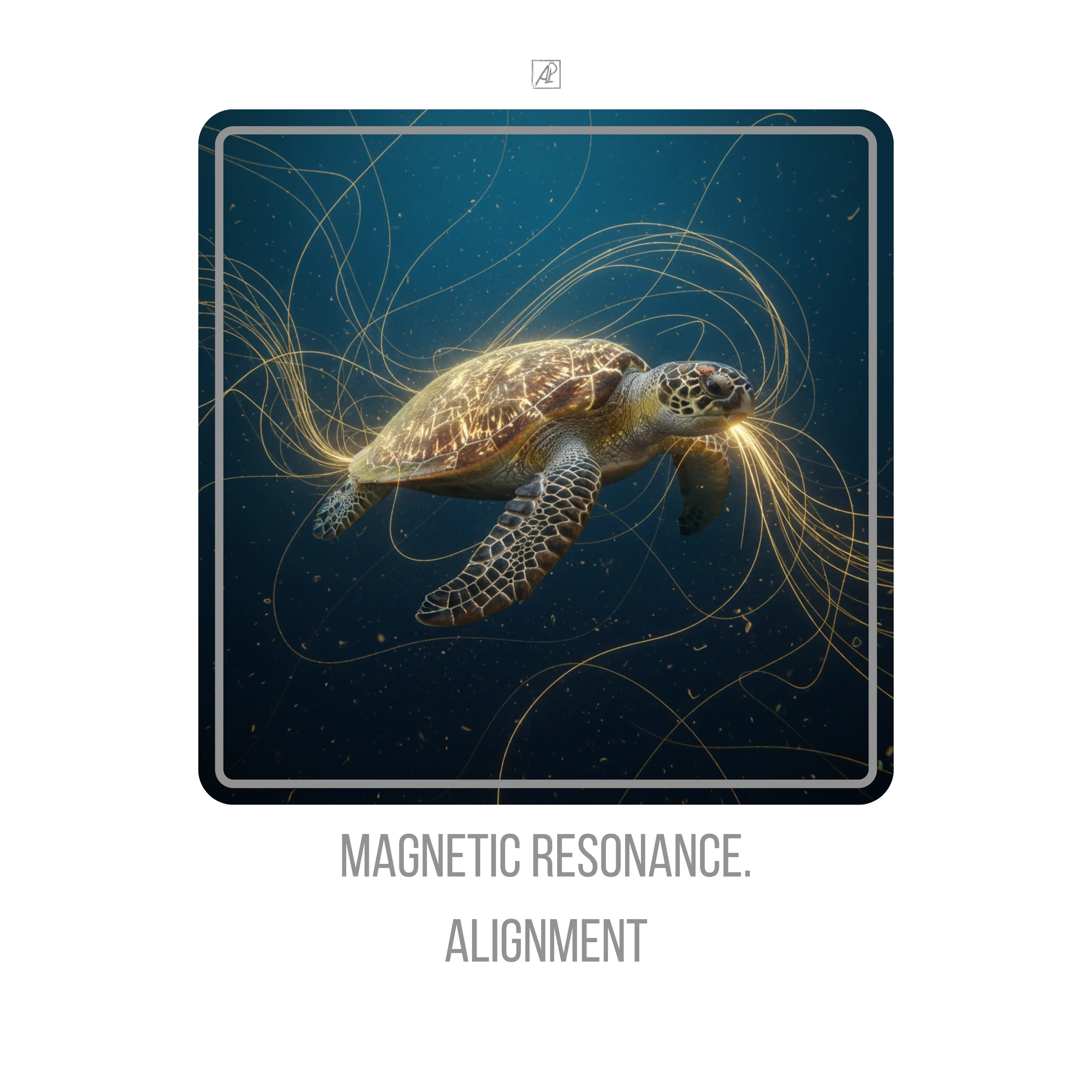 Magnetic Resonance. Alignment