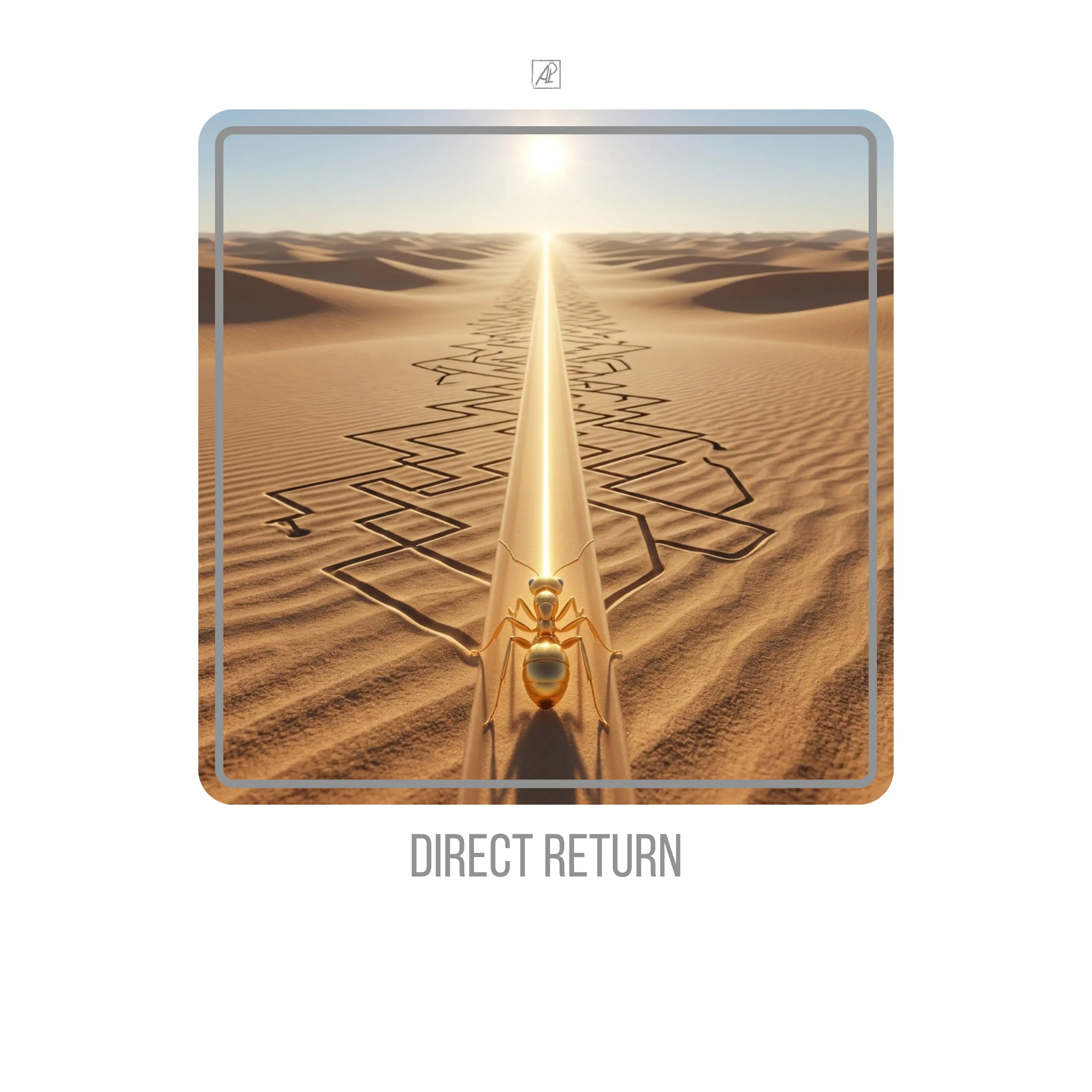 Direct Return